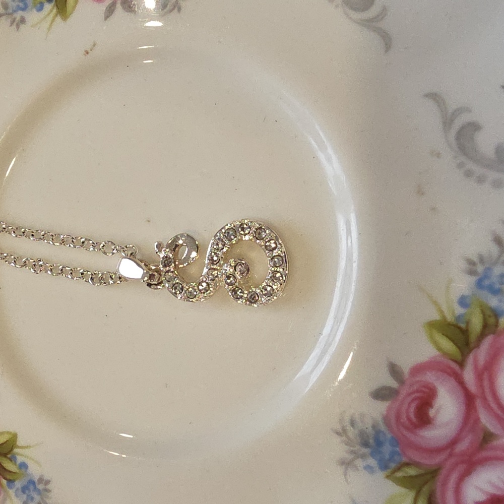 Plunder Silver Intial S Necklace